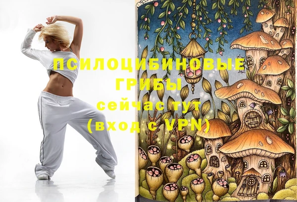 МДМА Белокуриха