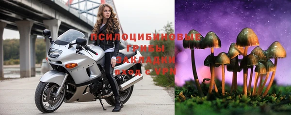 МДМА Белокуриха