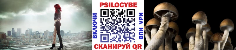Галлюциногенные грибы Magic Shrooms  цены наркотик  Котовск 